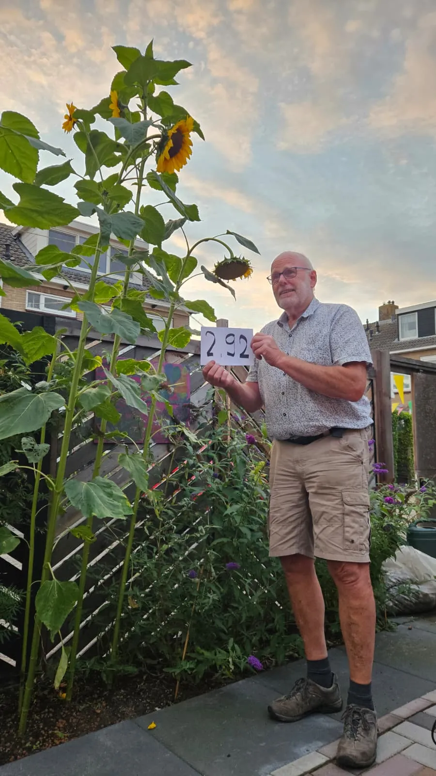 Cees met zonnebloem